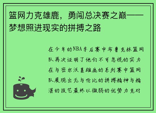 篮网力克雄鹿，勇闯总决赛之巅——梦想照进现实的拼搏之路
