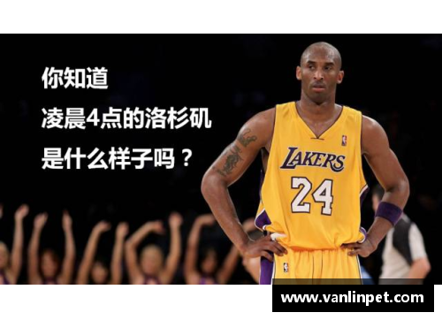 DB真人NBA精彩赛事全方位解读：背景、战术、球星、转播幕后详解