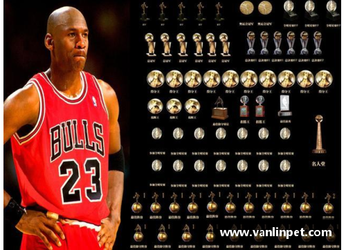 DB真人NBA：超凡篮球世界