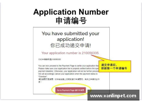 DB真人足球殿堂中的梦想之旅探索球星心中向往的极致舞台