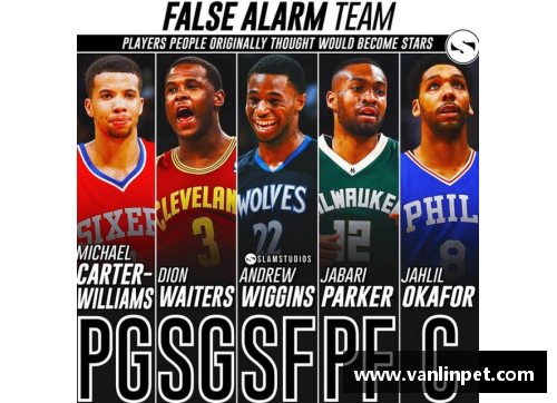 DB真人官方网站昙花一现的十大NBA球员 - 探球说爱
