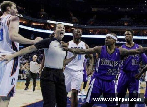 DB真人官方网站布泽尔：NBA传奇岁月盛放 - 副本