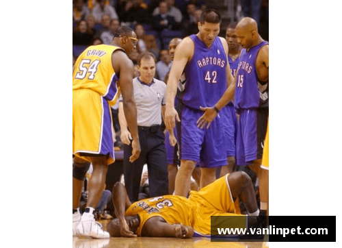 DB真人官方网站NBA球员的高光瞬间：探索他们在比赛中的精彩表现 - 副本