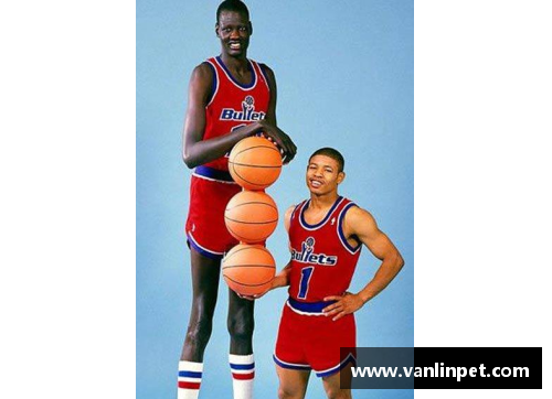 DB真人官方网站NBA：全面解析A球员的职业生涯和影响力 - 副本