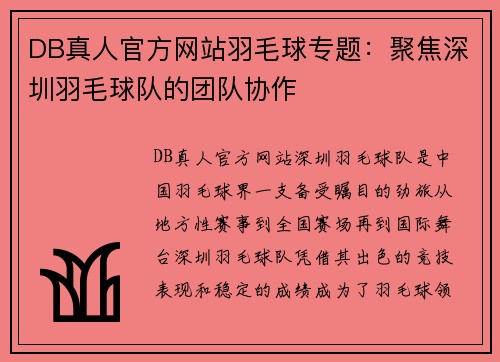 DB真人官方网站羽毛球专题：聚焦深圳羽毛球队的团队协作